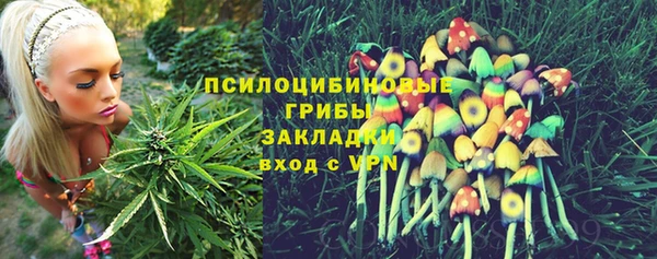 герыч Арсеньев
