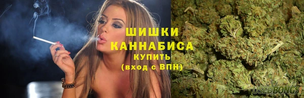 эйфоретик Аркадак