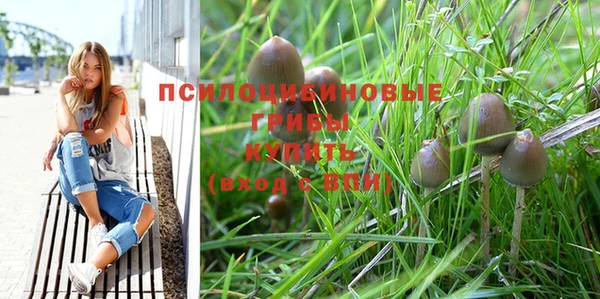 молекула духа Армянск