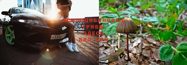 эйфоретик Аркадак